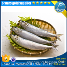 Frozen Sardine Hgt For Sale